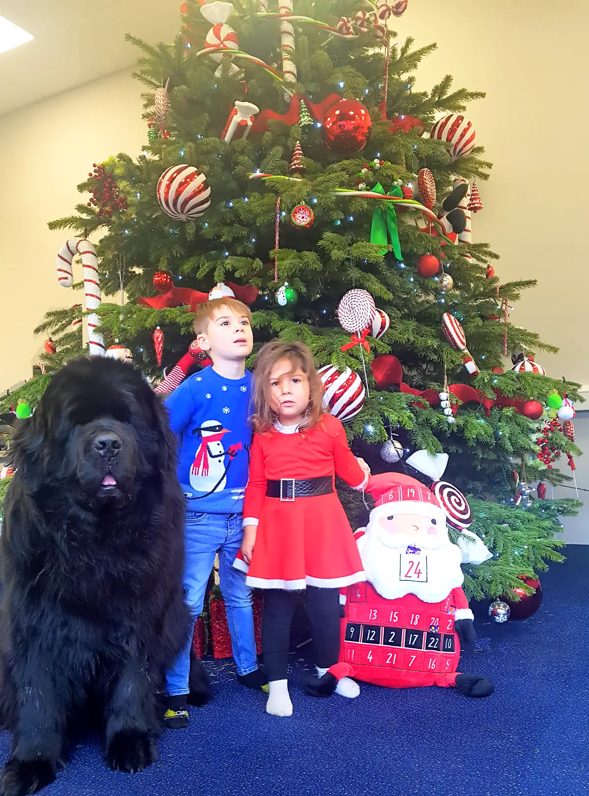 Merry Christmas everyone! 2018