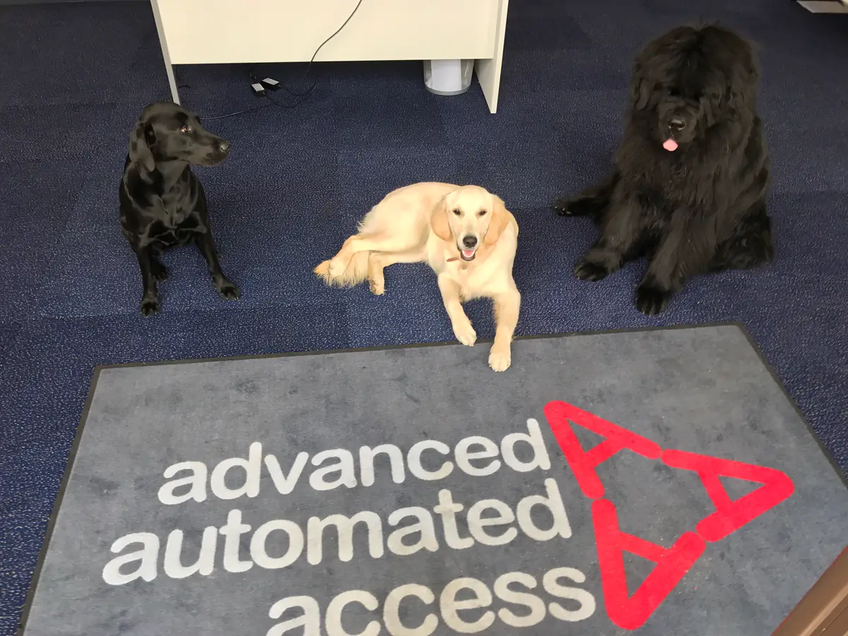 Mascots out in force!