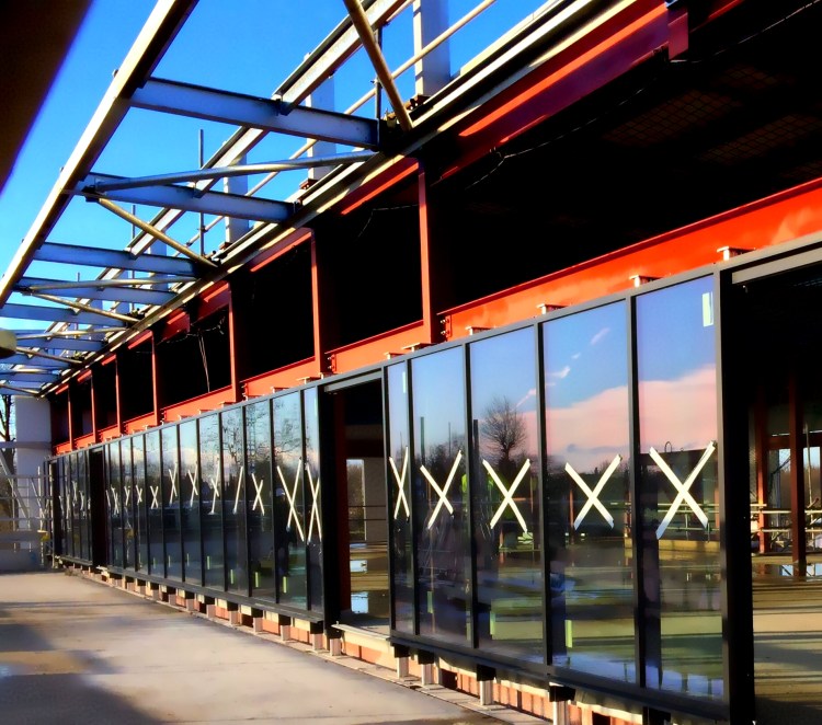 Grasshoppers RFC progress 2.jpg