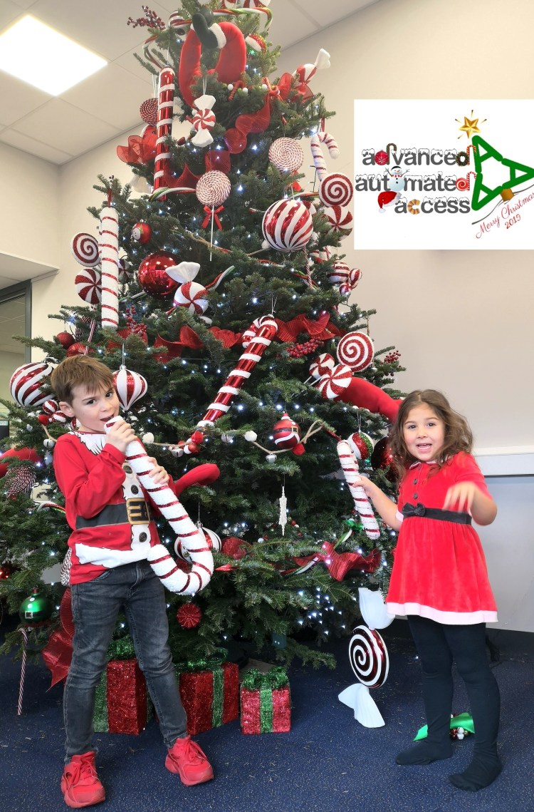 Roua Stef AAA Christmas Tree logo.jpg